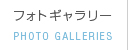 tHgM[